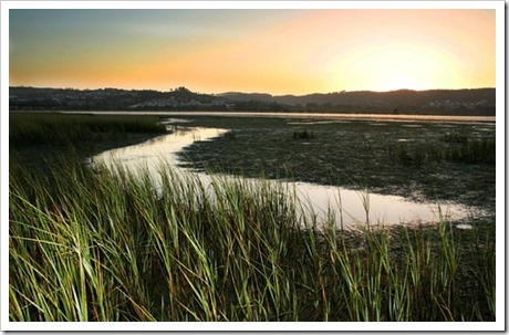 tumblr_kvekuarDBy1qaqig3o1_500