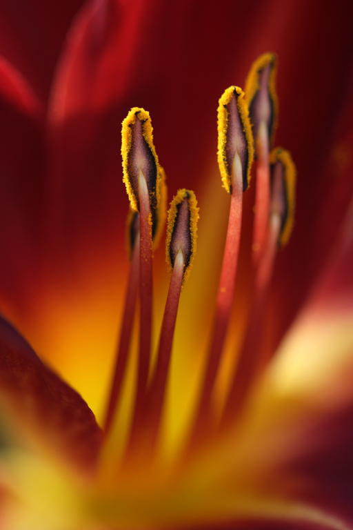 3. Standing Up 3. Standing Up