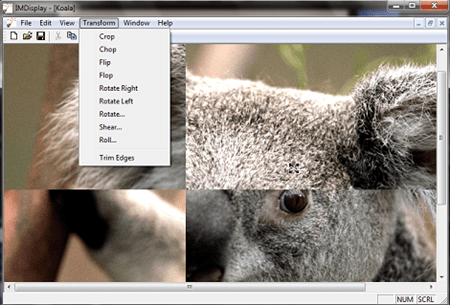 ImageMagick screenshot